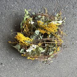 MIMOSA wreath NO.9 3枚目の画像