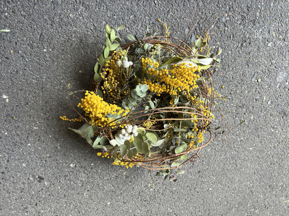 MIMOSA wreath NO.9 3枚目の画像