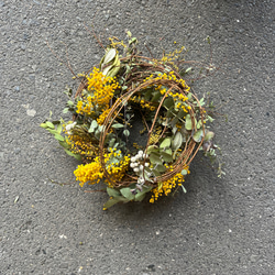 MIMOSA wreath NO.9 1枚目の画像