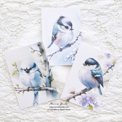 美麗的蓬鬆小鳥水彩插畫藝術 3 明信片明信片套裝 第2張的照片