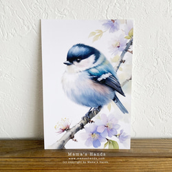美麗的蓬鬆小鳥水彩插畫藝術 3 明信片明信片套裝 第7張的照片
