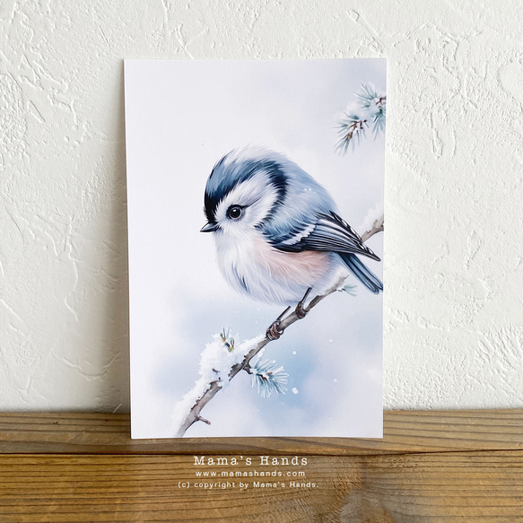 美麗的小鳥水彩插畫藝術3明信片明信片套裝 第6張的照片