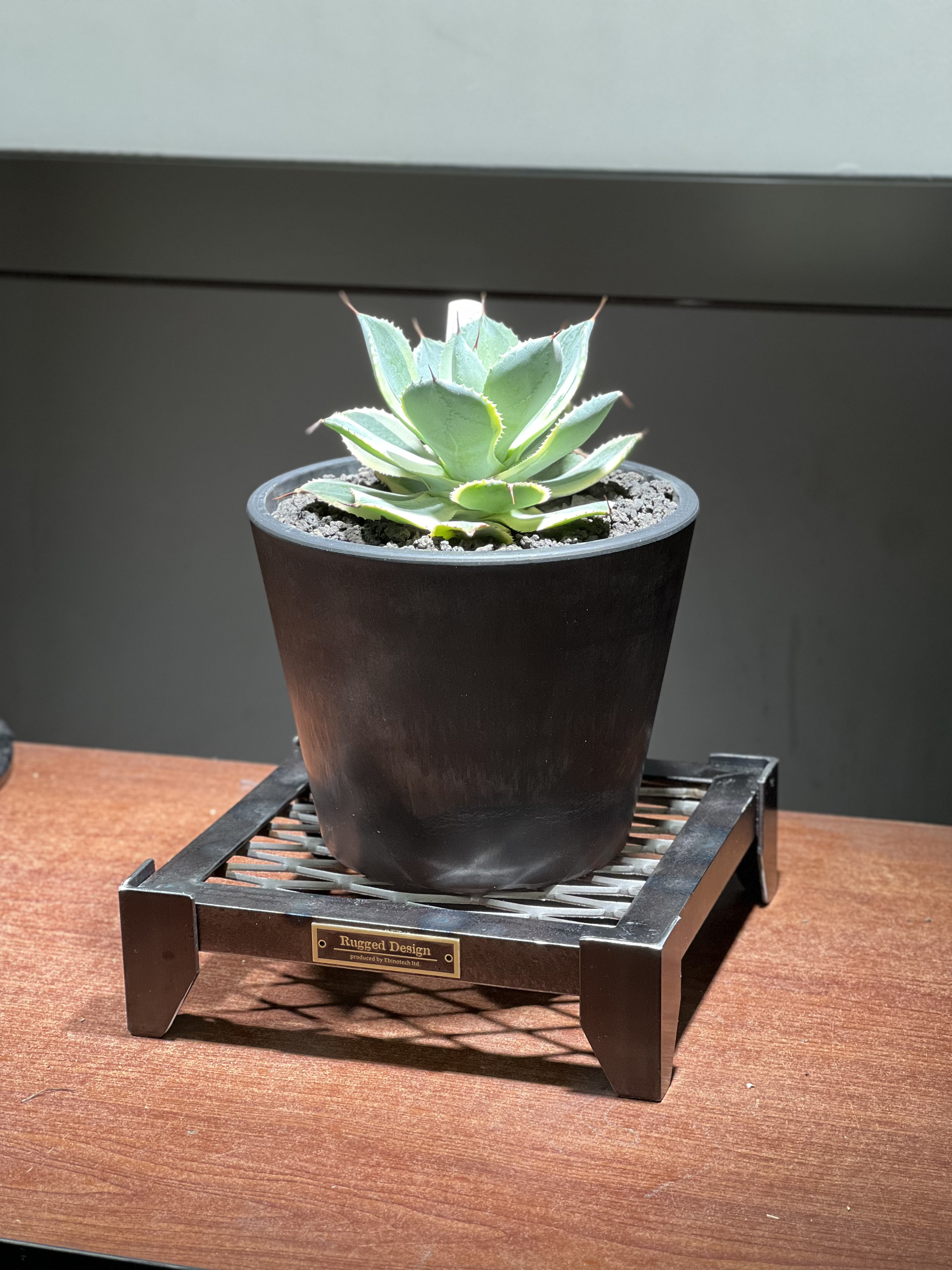 DAIZA  プランツベース　　植物　おしゃれ　台座　アイアン