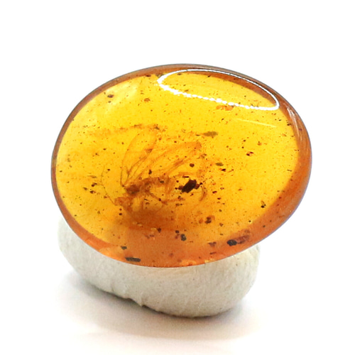 鑑別済 ミャンマー産 虫入り琥珀 Collection-gems85 天然石 せんとば