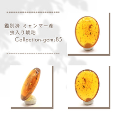 鑑別済 ミャンマー産 虫入り琥珀 Collection-gems85 1枚目の画像
