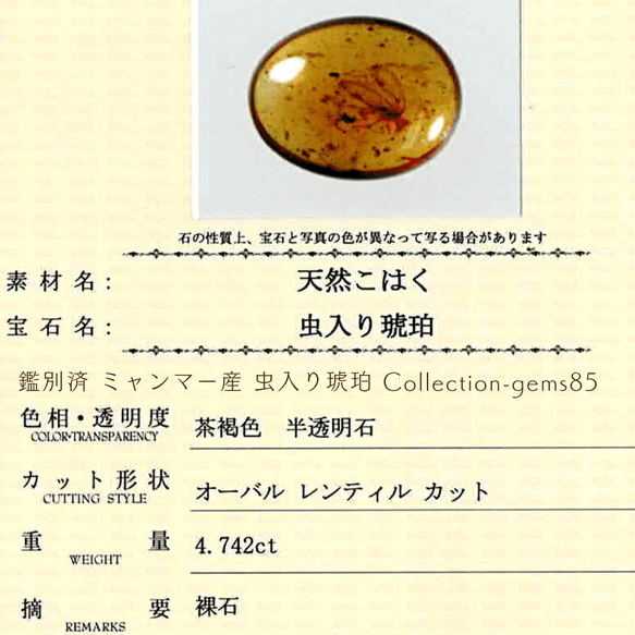 鑑別済 ミャンマー産 虫入り琥珀 Collection-gems85 5枚目の画像