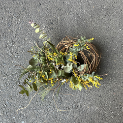 MIMOSA wreath NO.3 1枚目の画像
