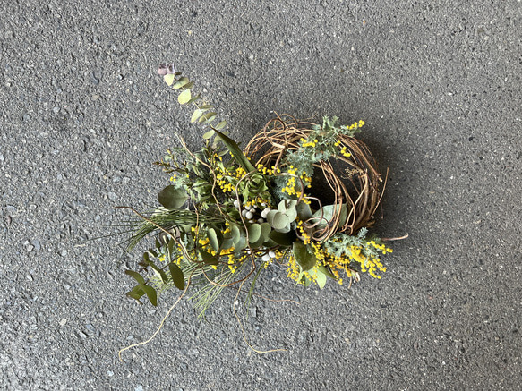 MIMOSA wreath NO.3 1枚目の画像
