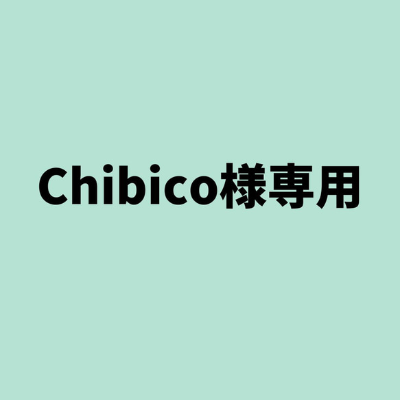 Chibico様専用 1枚目の画像