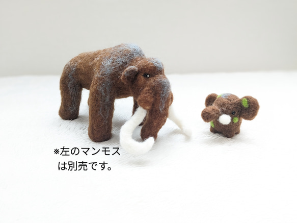 【古生物·恐竜】マンモスベイビ 6枚目の画像