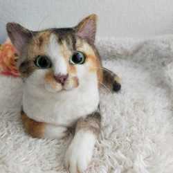 羊毛フェルト　オーダー　猫　【yuu様ページ】 オーダー うちの子 羊毛フェルト フレーム 猫 枠猫 額縁 リアル