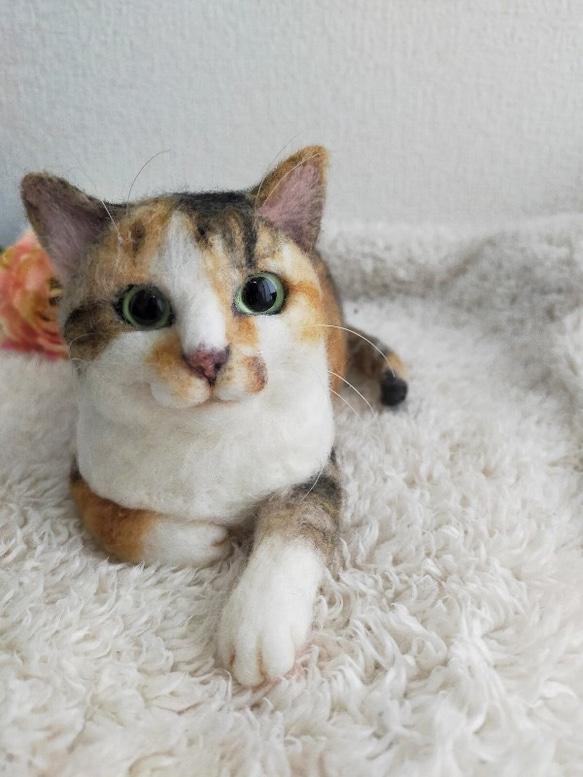 オーダー猫さん 羊毛フェルト 羊毛フェルト utuca 通販 17407928