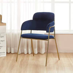 チェア 椅子 北欧 デザイン性  ひじ掛け 背もたれ ベルベット メタル ダイニングチェア ch-1690 2枚目の画像