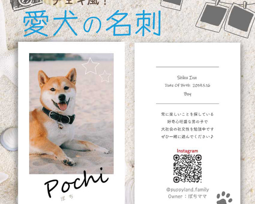 愛犬のチェキ風名刺作成☆写真入り 両面100枚 選べるカラー☆ おもちゃ