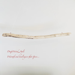 流木インテリア 無骨で太い大型流木のハンガーラック 北欧 衣装掛 ハンギング 吊り下げ ハンガーポール N9 7枚目の画像