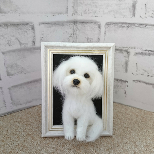 ミナペルホネン ハンドメイド オッドアイ ⭐猫(*ΦωΦ)coda b5 ミナ