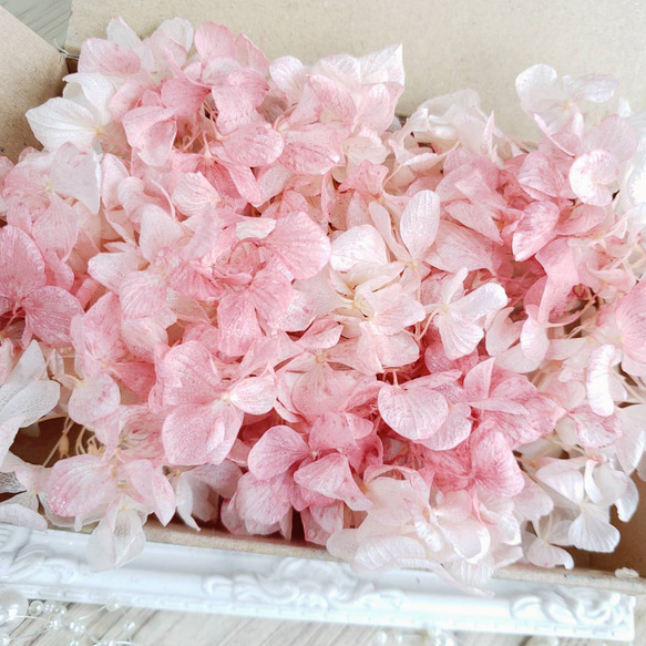 桜 くすみピンクあじさい 花材 ハーバリウム プリザーブドフラワー