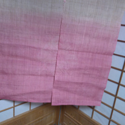 桜　春　桜色のノレン 2枚目の画像