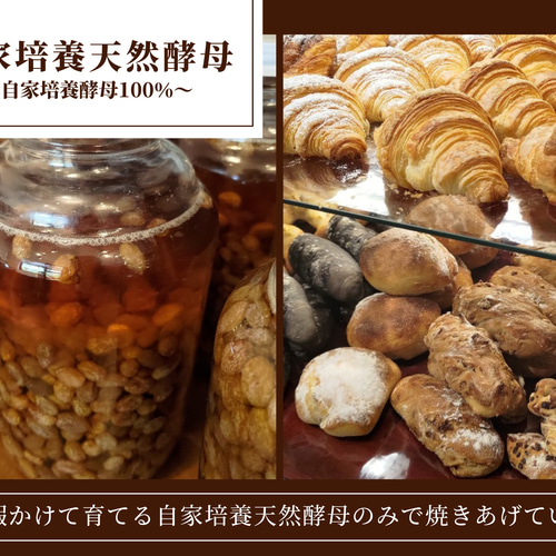 【国産小麦＆自家培養酵母100％】自家製惣菜パン多め♪ 詰め合わせパンセット！ 国産小麦&自家培養酵母100％】お惣菜系&ハード系☆アラカルト