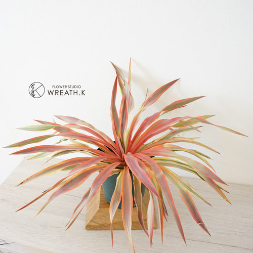 ユッカ グロリオサ ブライトスター（5号） アートフラワー Wreath.K