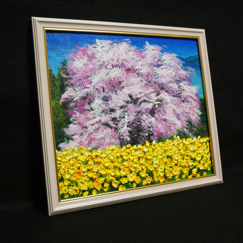 油絵 油彩 油彩画 絵 絵画 【菜の花と大桜】