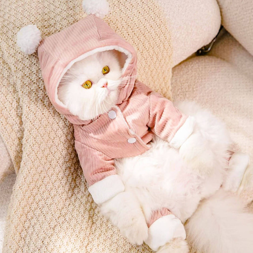 babythree　特別目オッドアイ　洋服を着てる子猫 babythree 特別目オッドアイ 洋服を着てる子猫 やっぱり