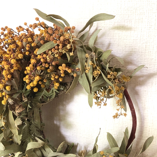 パンパスグラスとミモザのふあふあリース パンパスグラスとミモザのふあふあリース