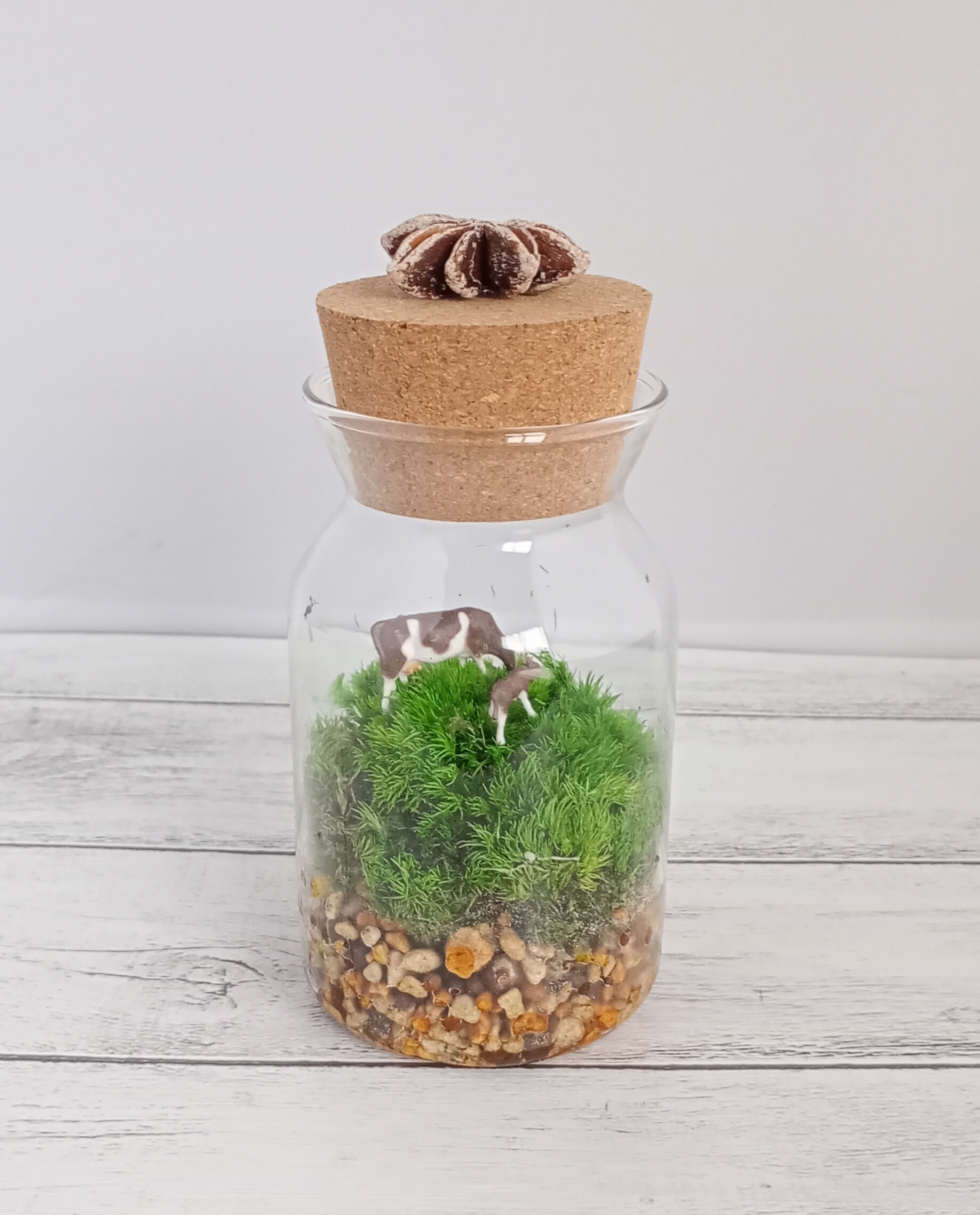 苔リウム　完成品　レイアウト品　廃墟　神社 苔リウム 完成品 レイアウト品 廃墟 神社