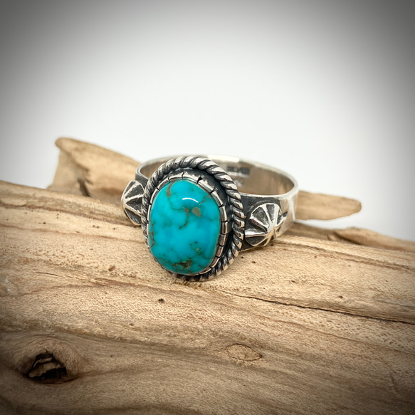 ゲーリーリーブス リング　スギライト ゲイリー・リーブス リング 【公式通販】