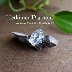 ハーキマーダイヤモンド 母岩付き水晶原石（アメリカ・ニューヨーク州）ハーキマー水晶 天然石 鉱物コレクション　g0101 4枚目の画像