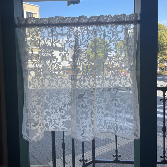 エレガントオパール加工生地カフェカーテン カーテン LiSARA 通販