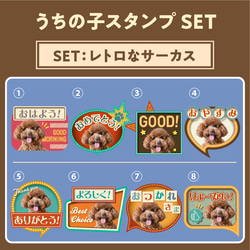 うちの子LINEスタンプ 8枚目の画像