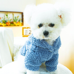 犬服 秋冬用 防寒 ルームウェア パジャマ フード付き キャラクター 着ぐるみ もこもこ フリース ch-929 7枚目の画像