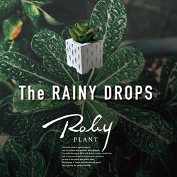 【ミニ鉢セット｜The RAINY DROPS_白】セメント仕様_盆栽やオブジェに最適｜ロビー・ハンソンのハンドクラフト 16枚目の画像