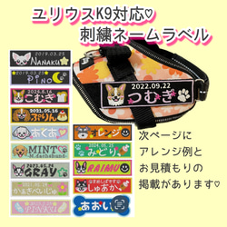 トレポンティ☆ユリウスk9☆ネームタグ☆ハーネス☆リード