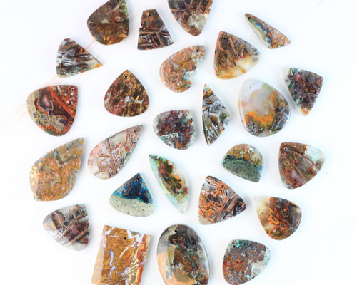 日本初☆西ジャワ州採掘限定】自然銅入り オパール化した木の化石（オ