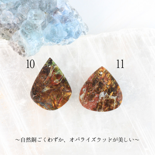 日本初☆西ジャワ州採掘限定】自然銅入り オパール化した木の化石（オ