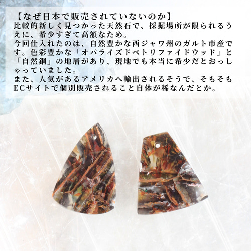 日本初☆西ジャワ州採掘限定】自然銅入り オパール化した木の化石（オ