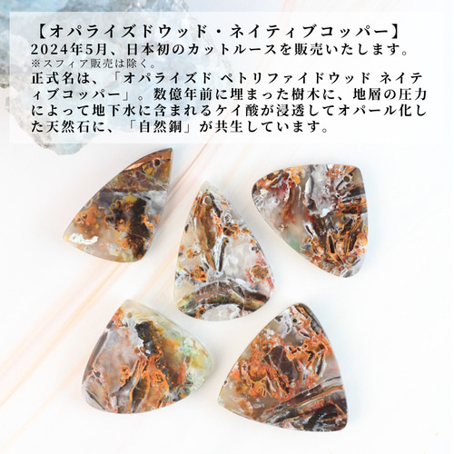 2024年5月/日本初販売☆】オパライズドウッドネイティブコッパー