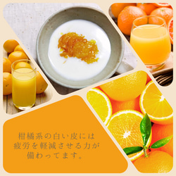 【再販】レモンのマーマレード   Mサイズ 3枚目の画像