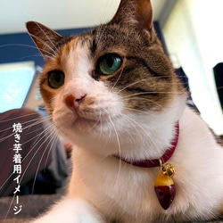 ミニチュアフード付き♪ デリシャスにゃ首輪 猫首輪 軽い セーフティクリップ 調整可能 ハンドメイド☆ 16枚目の画像