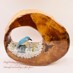一つ限りの流木アート 水辺のカワセミ ジオラマ 流木 フィギュア 置物 動物 鳥 インテリア レジン 水辺 N23 6枚目の画像