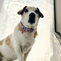 パラコード犬用首輪〈Mサイズ：28～33cm〉Fleurs mignon・Rose lavande 10枚目の画像