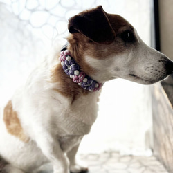 パラコード犬用首輪〈Mサイズ：28～33cm〉Fleurs mignon・Rose lavande 11枚目の画像