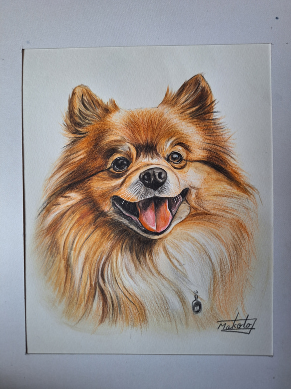 店舗良い ポメラニアン 色鉛筆画 絵画 17413394｜Creema 通販 makochin 絵画