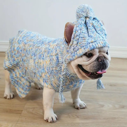 犬用セータードレス 帽子セット ペットニットプルオーバー 犬用セーター カラフル糸 犬服ストレッチ cht−1067 5枚目の画像