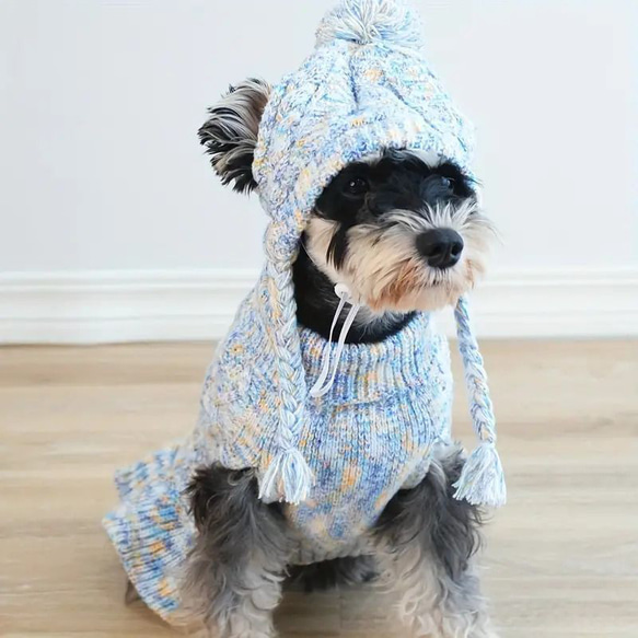 犬用セータードレス 帽子セット ペットニットプルオーバー 犬用セーター カラフル糸 犬服ストレッチ cht−1067 4枚目の画像
