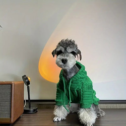 犬パーカー フード付き ペット服 冬 暖かい トレーナー 猫 おしゃれ かわいい 防寒 濃い緑色 cht−1070 2枚目の画像