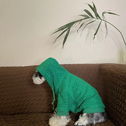 犬パーカー フード付き ペット服 冬 暖かい トレーナー 猫 おしゃれ かわいい 防寒 濃い緑色 cht−1070 5枚目の画像
