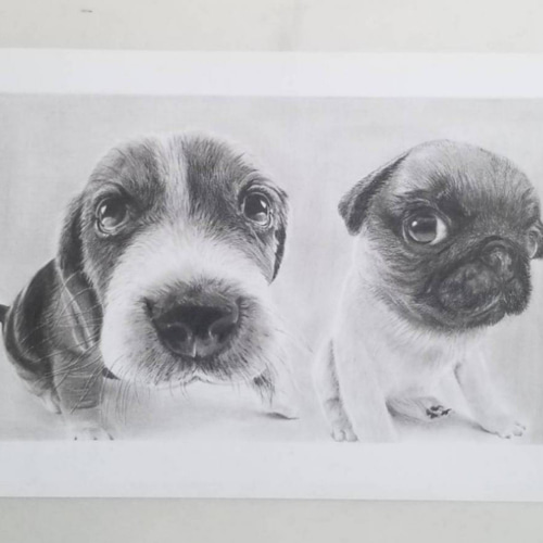 鉛筆画　オーダー画面 肖像画】細密鉛筆画（オーダー）・A4サイズ～ | iichi 日々の暮らし